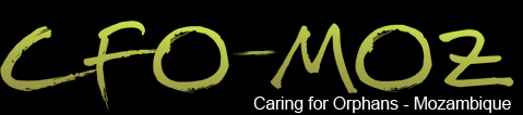 Logo | Go to CFO-MOZ Home page